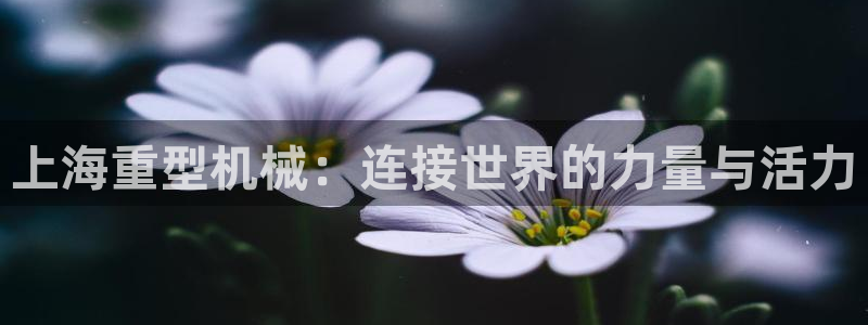 富联娱乐元哥是谁的老婆