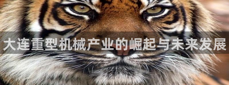 富联娱乐app官方下载