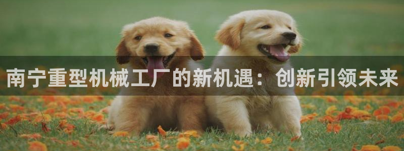 富联娱乐官网入口网址