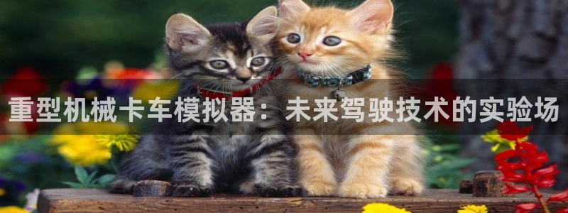 富联娱乐若七九九47