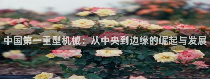 富联娱乐总裁简介图片