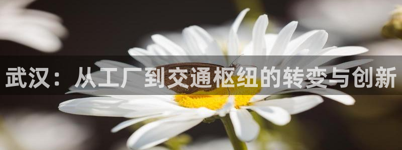 富联娱乐官网下载手机版