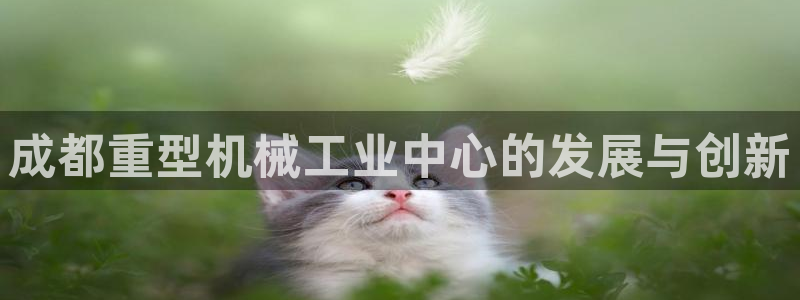 富联娱乐忘记账号