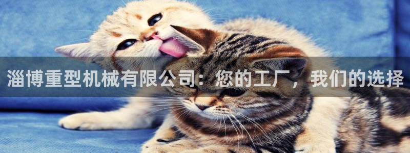 富联娱乐在线观看视频