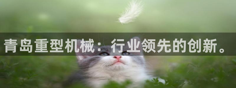 富联娱乐女团是谁的公司