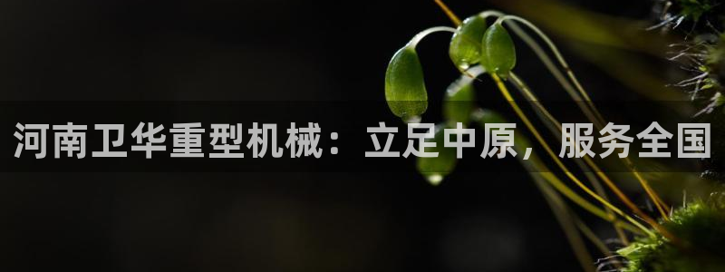 富联娱乐元哥简介图片