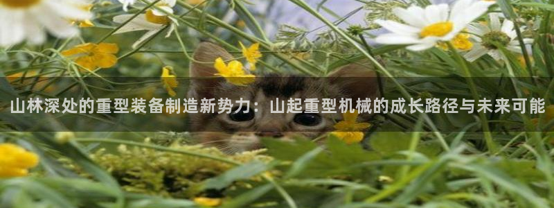 富联娱乐女团是谁的女儿